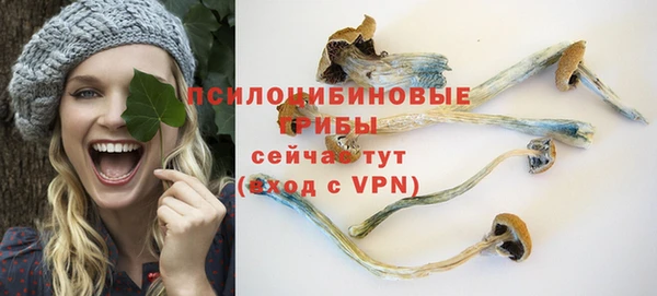 ALPHA-PVP Пролетарск