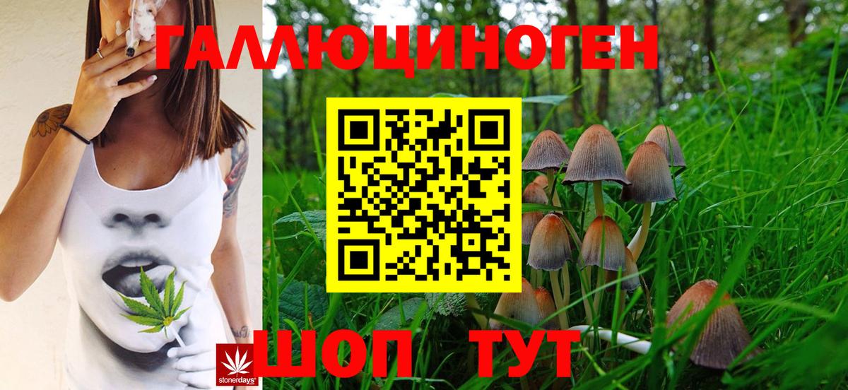 Псилоцибиновые грибы Cubensis  Вход с VPN  Дюртюли 