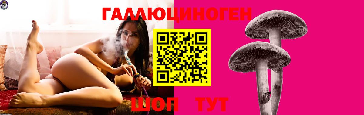 Галлюциногенные грибы мухоморы Дюртюли